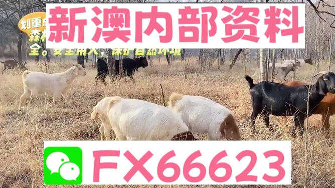 新澳今天最新资料晚上四不象,实证分析详细枕_OLE85.188环保版