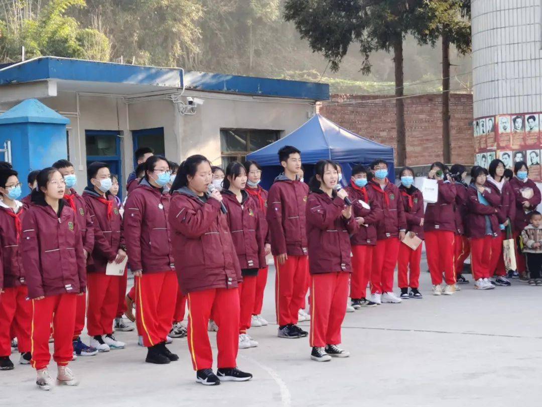 安国黄连最新价格,历史背景、市场动态及市场地位解析