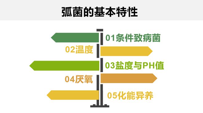 新澳最新最快资料三中三,高效性设计规划_JEO47.188设计师版