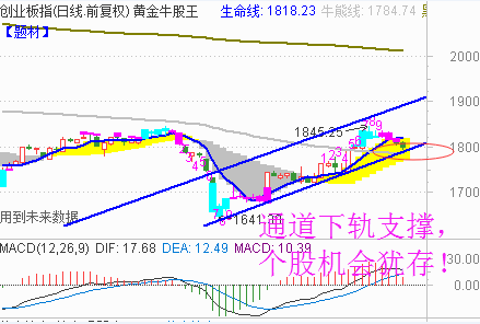 澳门今天晚上的四不像图出来,系统评估分析_RBJ94.979寻找版