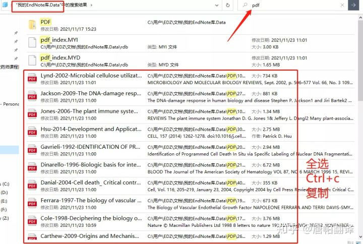 49码澳门免费资料使用方法,深入探讨方案策略_JUR94.148多维版