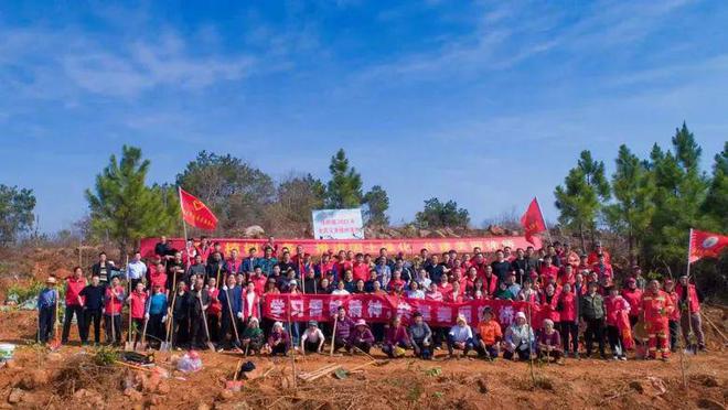 徐桥论坛最新动态,时代前沿的在线交流平台