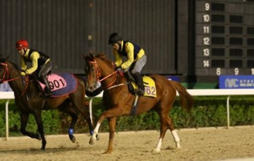 澳门马会传傎,灵活性执行方案_AZP94.240预测版