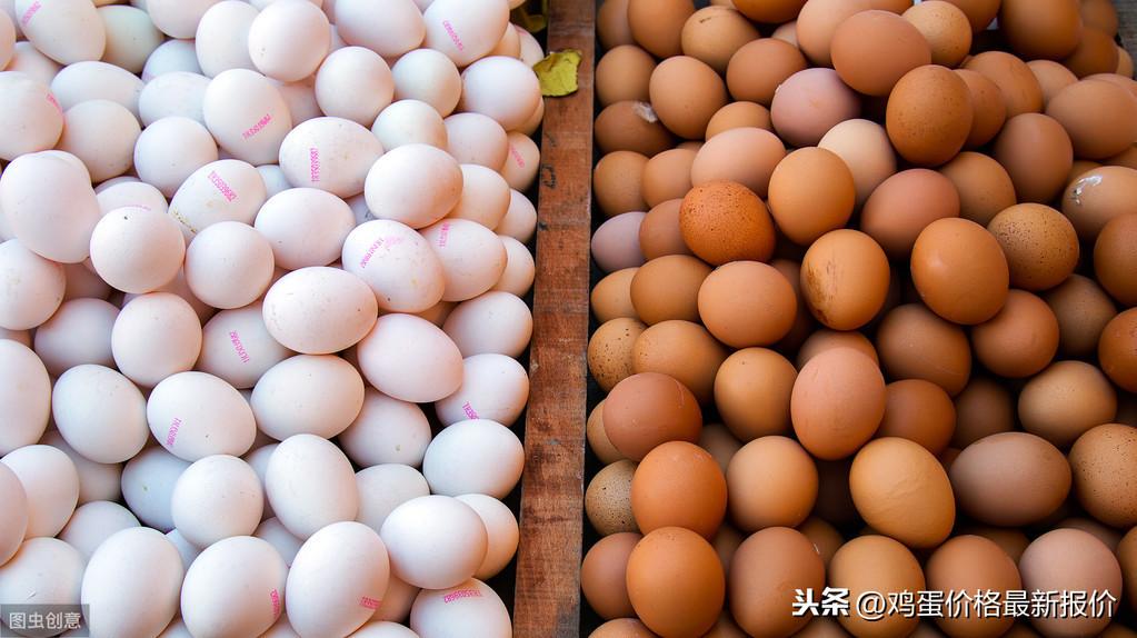 合肥鸡蛋最新价格获取与理解指南