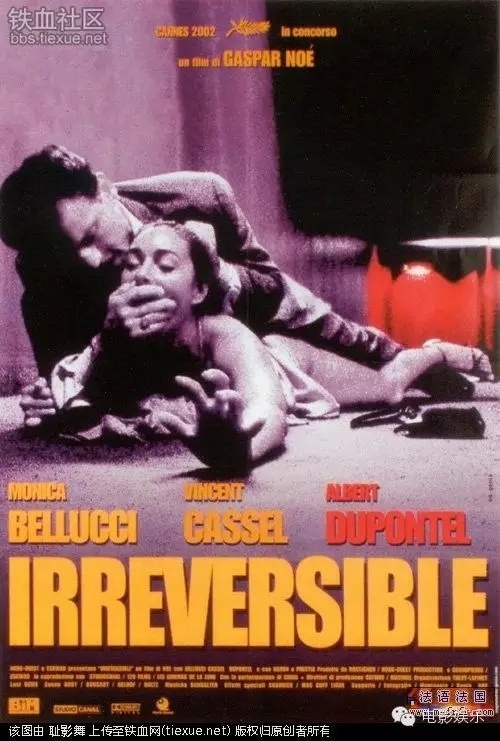 揭秘前沿科技产品，超越想象的替代品与违法犯罪边缘的禁片风波