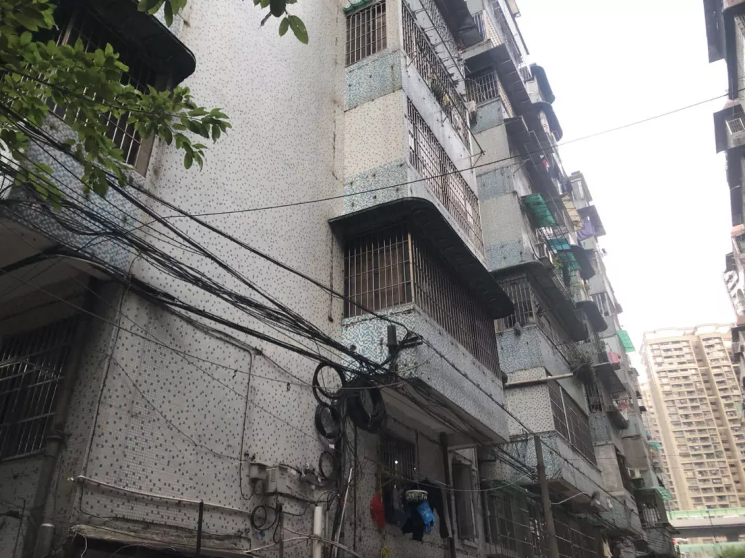 冠县最新房价揭秘,巷弄深处的惊喜房源