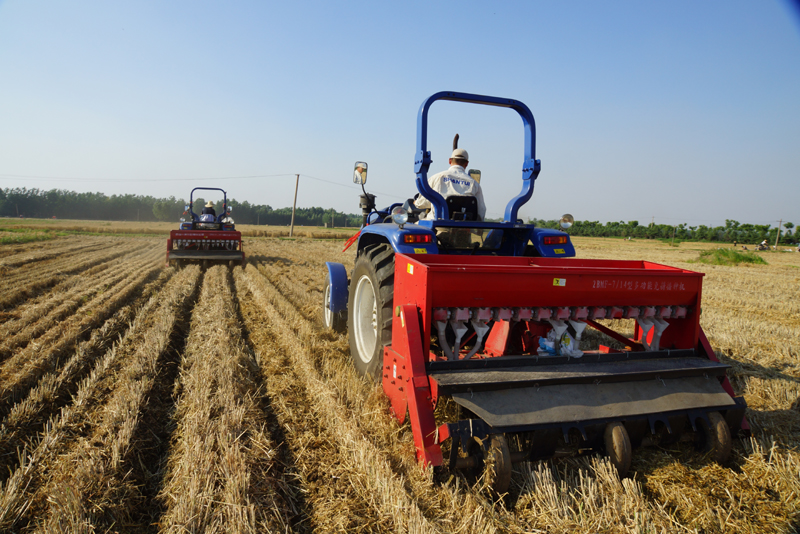 农业革新利器,最新种姜机器重磅登场