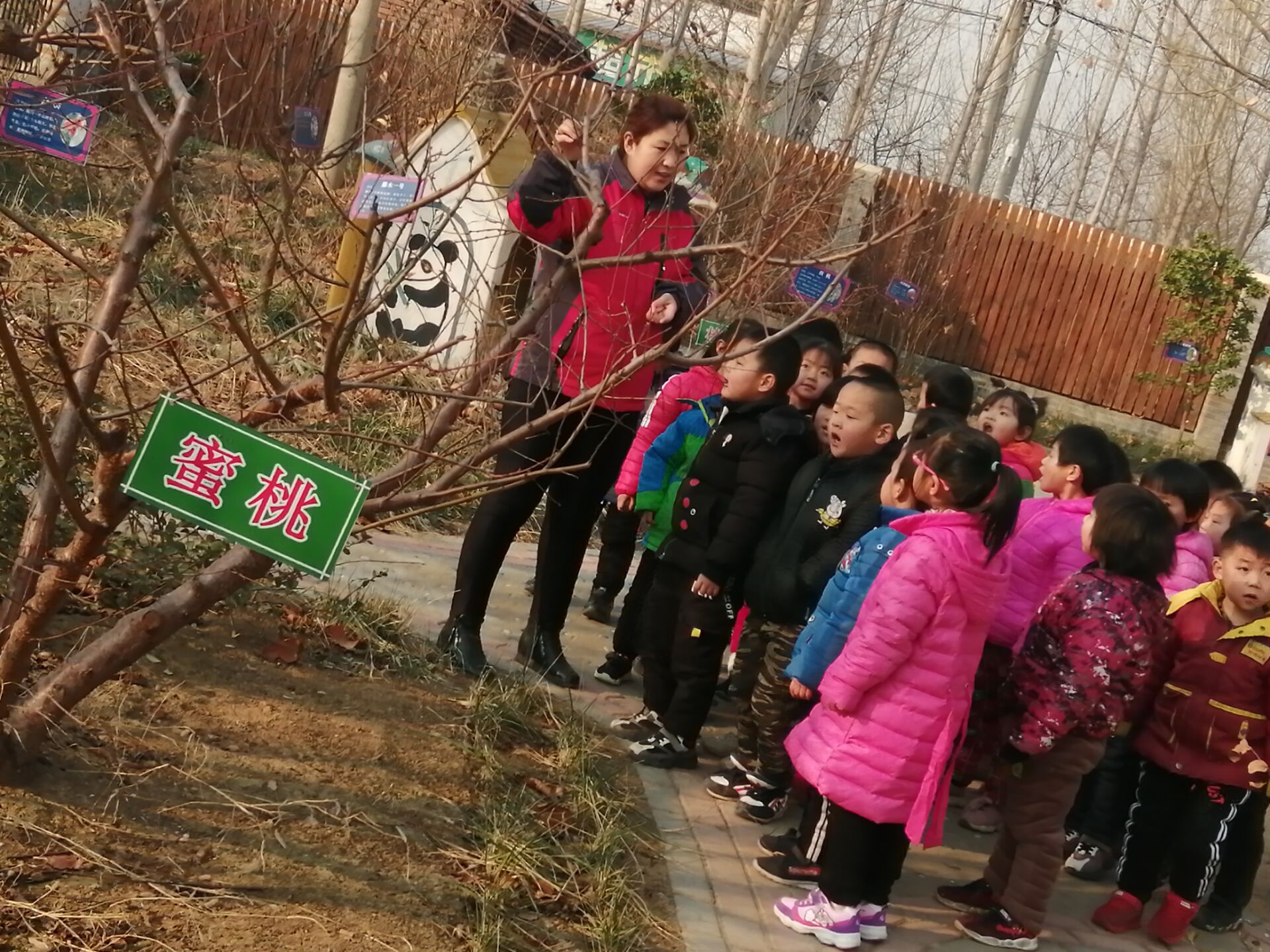 辰溪今日温馨日常，砍人事件背后的友情故事