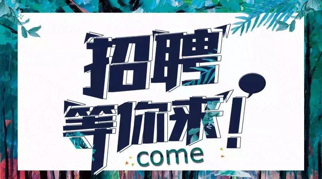 全国最新招聘，小城求职奇遇与友情的绽放旅程