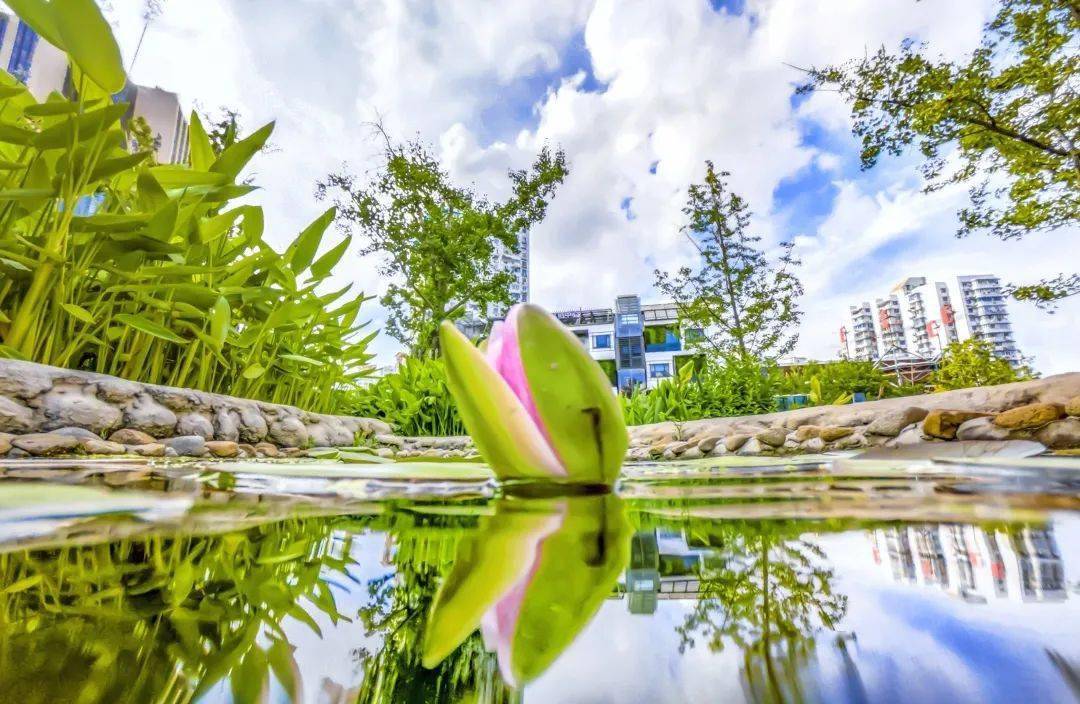 最新理论片2017学习指南，任务完成与技能掌握攻略