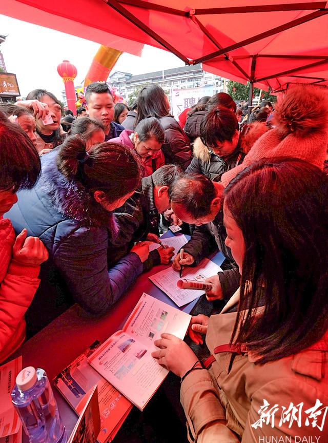 紫云最新招聘详解,步骤指南与职位信息更新