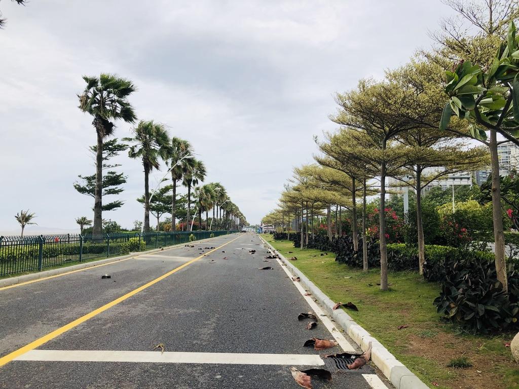 夏门台风最新动态与探索自然美景之旅