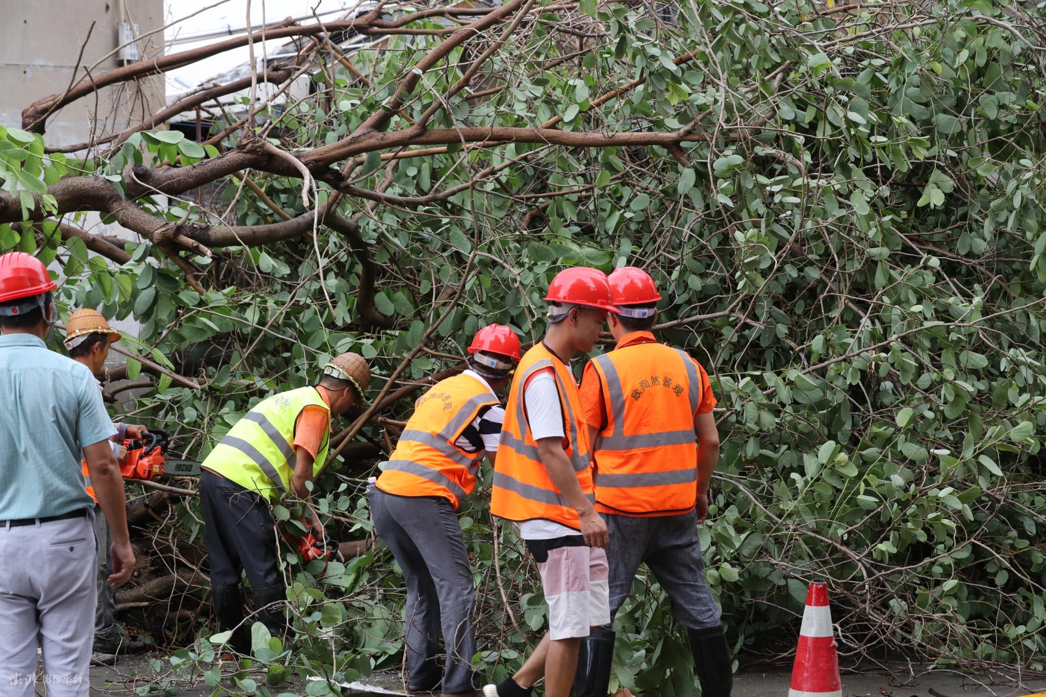 夏门台风最新动态与探索自然美景之旅