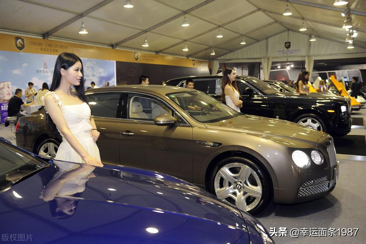 国产车最新发展动态，深度观点阐述与解析