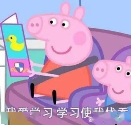 最新小猪配制作详解，一步步指南