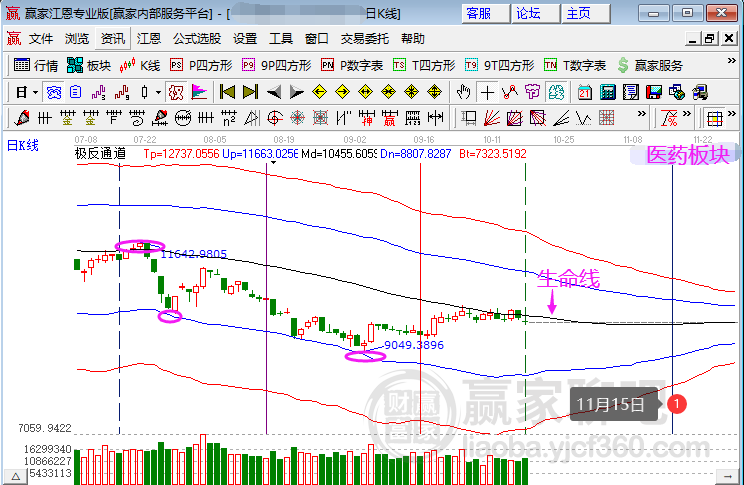 三肖三码三期必开一码l一,未来趋势解释定义_T81.208-6