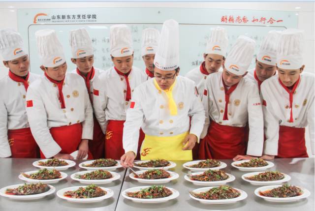 超级烹饪厨师最新探索,现代厨艺的无限魅力