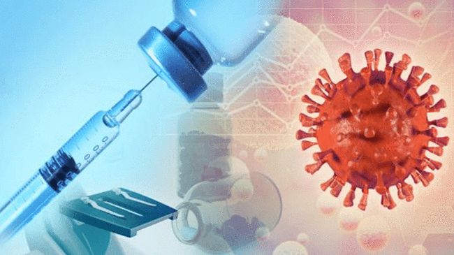 新澳2024开奖结果开奖记录查询,诠释说明解析_Phablet139.899-5