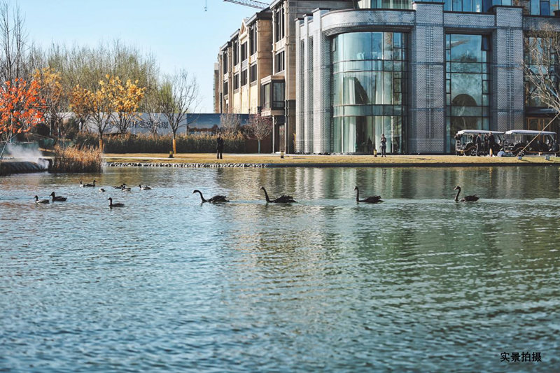 启东最新房产，与自然美景的邂逅，内心平和的寻找之旅