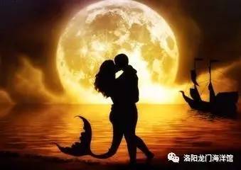 探索自然美景之旅,追寻内心的宁静与和谐——最新午夜美景尽在94神马