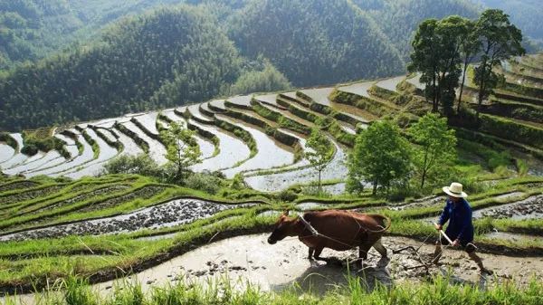 宜春最新房价探索之旅，自然美景中的心灵平和与宁静追求
