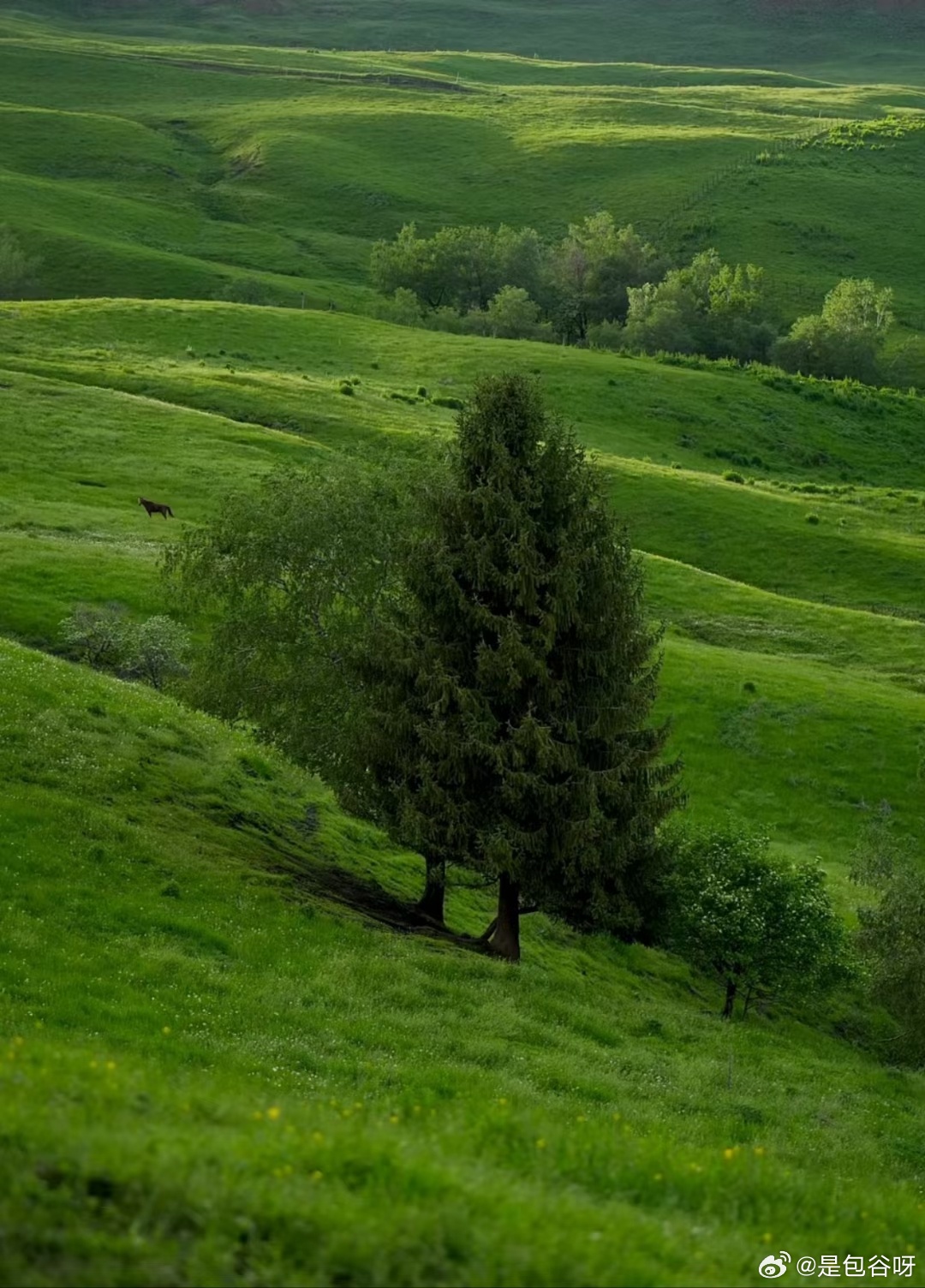 跟随Sihu最新网站，探索自然美景，寻找内心的平和宁静之旅