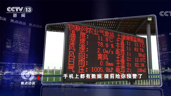 何欢最新小品,家的温馨与友情的陪伴之力