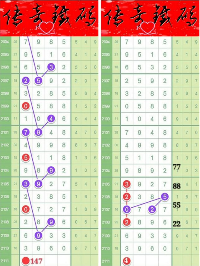 你好湛江规律最新，揭示违法犯罪问题新动向。