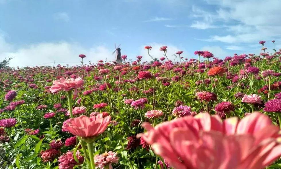 敦化最新新闻，拥抱自然，心灵宁静之旅启程