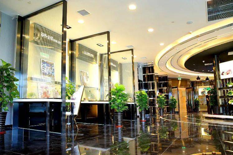 2024年澳门精准免费大全,动态解读分析_沉浸版XAK19.936