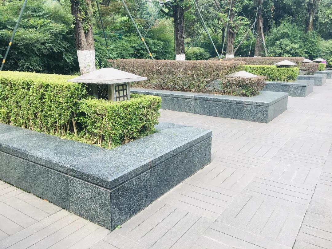 酒店最新围边，小巷中的隐藏瑰宝，探索之旅启程