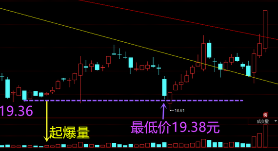 澳门最精准真正最精准,具象化表达解说_动图版VRS34.63
