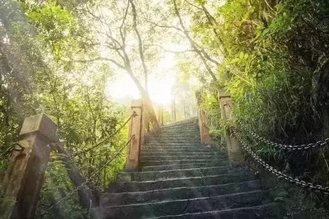 何匡最新女友,自然美景中的浪漫之旅