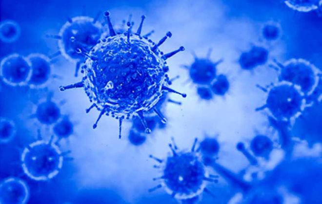 揭秘2017最新感冒病毒,背景、影响与现状分析