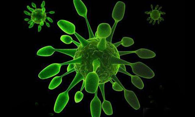 揭秘2017最新感冒病毒,背景、影响与现状分析