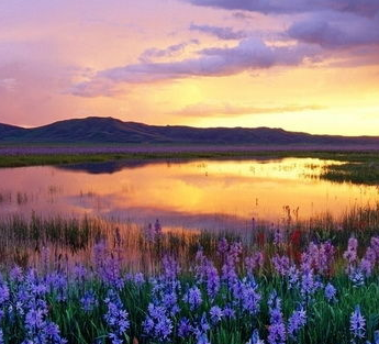 探索自然美景之旅，最新头像大全与内心平和之地的寻找