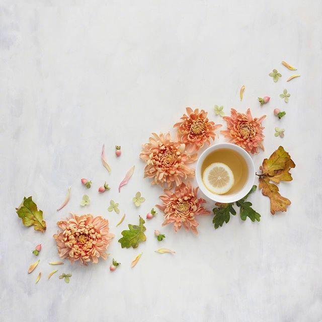 恋老最新小说，探索成熟之美的独特魅力