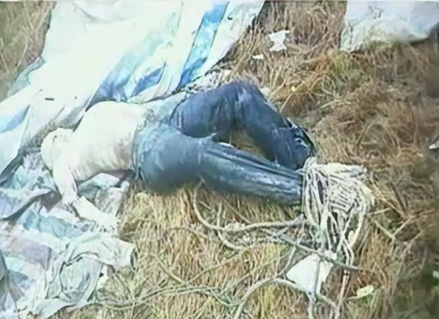 最新无名尸公告揭秘,背景、事件与影响探索