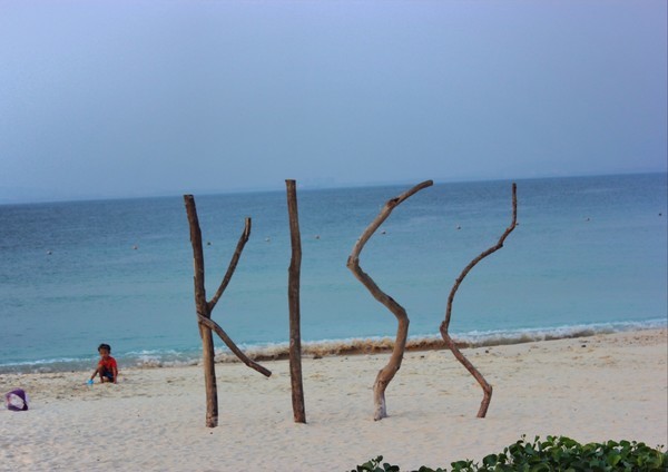 北京招租早点最新,启程探寻自然美景的治愈之旅