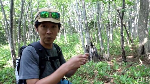 自然探索之旅,最新野外直播与学习自信的萌芽之路