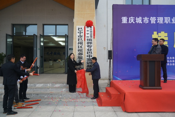 淳化最新丧事视频，传统与现代的完美融合