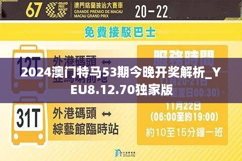 2024年今晚澳门开特马,稳定性设计解析_复刻版88.387-4