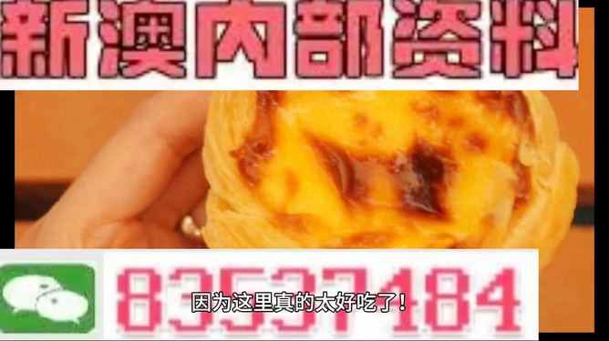 澳门正版免费资料精准大全,动态解析说明_增强版132.610-4