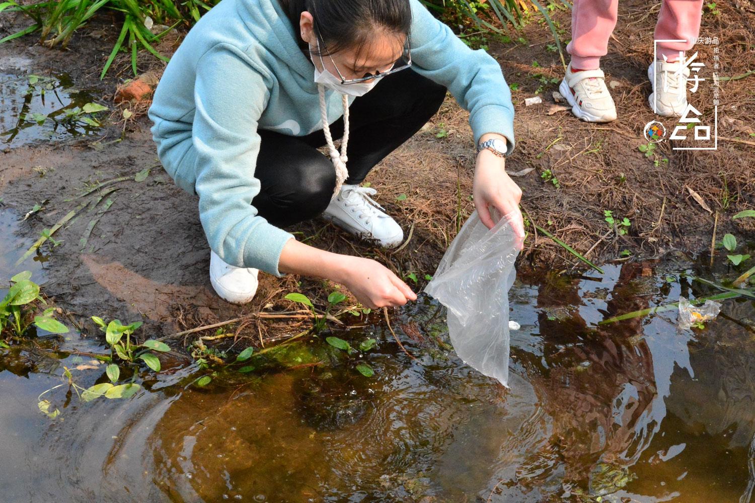 蝌蚪网最新视频，科技、文化与生活的交融盛会