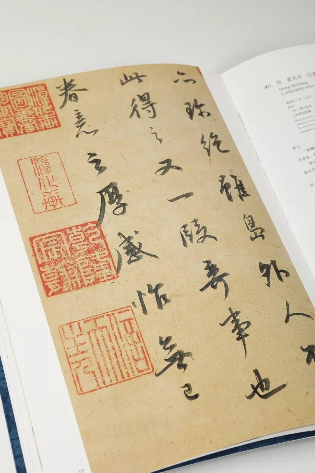 最新毛笔书法字典,重磅推荐最新毛笔书法字典,书写艺术的宝藏!