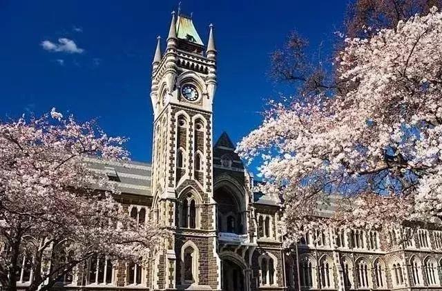 新西兰移民最新动态，科技重塑移民体验