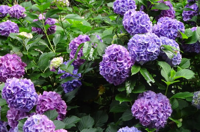 最新电影在线观看攻略，轻松掌握观影技能