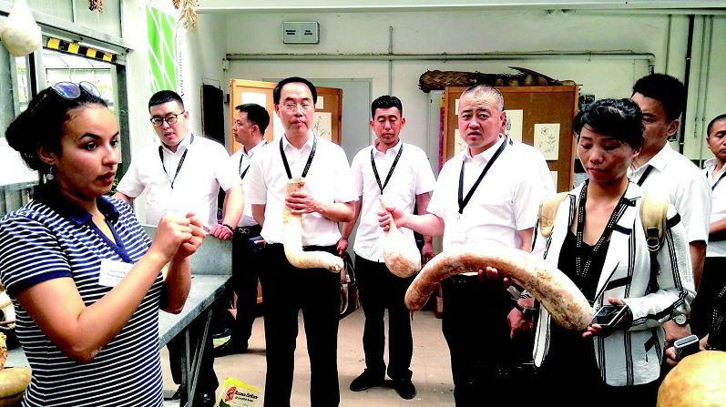 畅玩助手最新更新，游戏世界全新探索体验