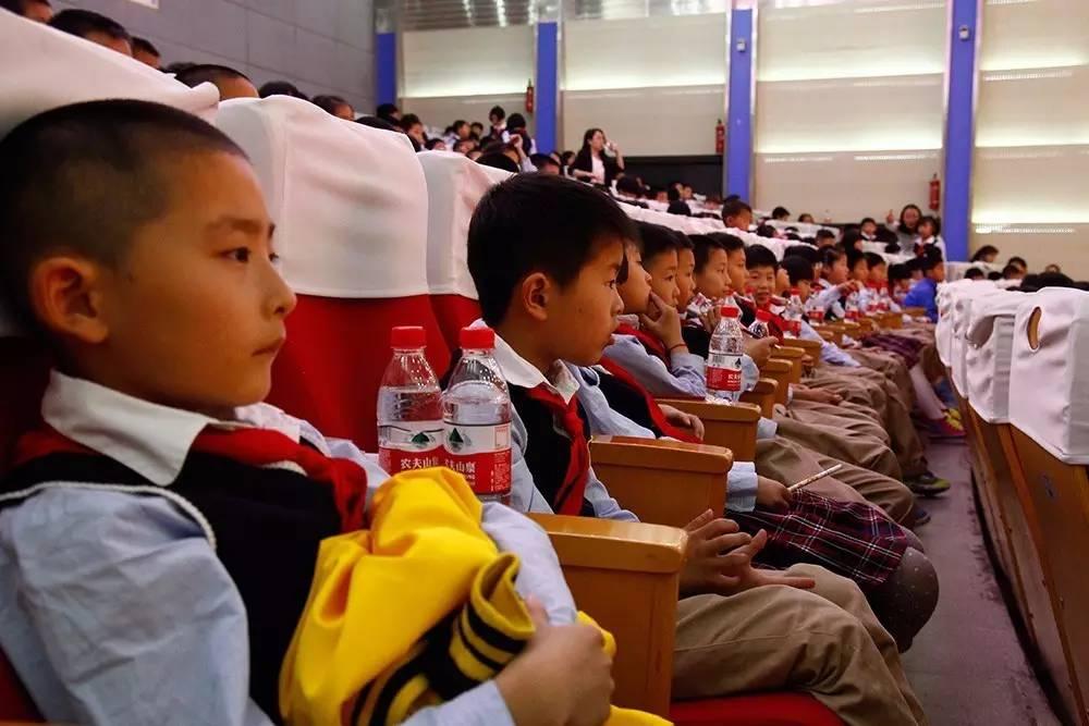 余杭仁和最新规划揭秘，未来发展蓝图与战略部署