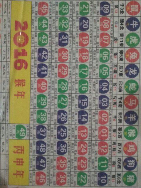 S2B2X电商体系 第447页